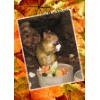 Tierpark