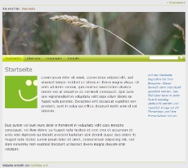 Einsteiger-Lösung
Demo Webseite